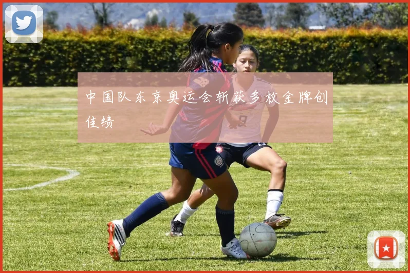 中国队东京奥运会斩获多枚金牌创佳绩