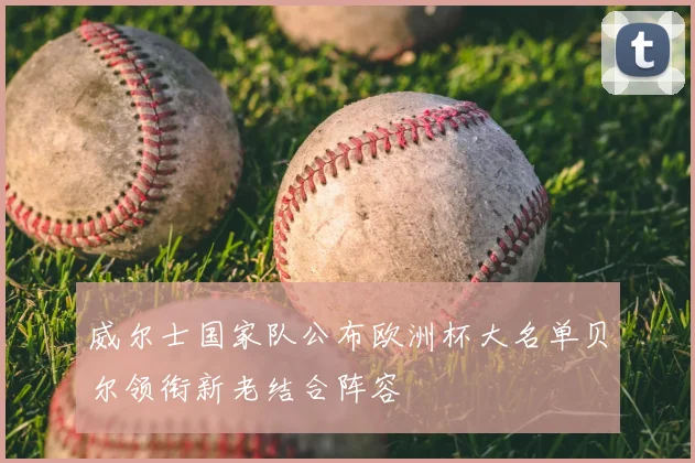 威尔士国家队公布欧洲杯大名单贝尔领衔新老结合阵容