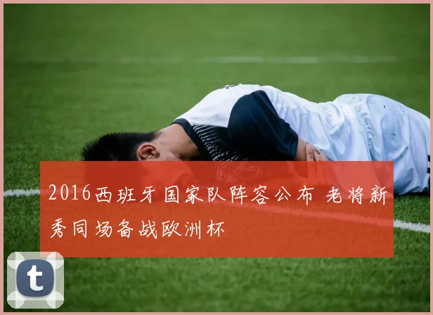 2016西班牙国家队阵容公布 老将新秀同场备战欧洲杯