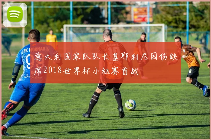 意大利国家队队长基耶利尼因伤缺席2018世界杯小组赛首战