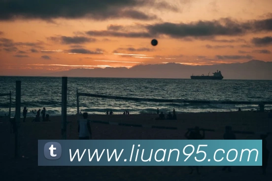 bobapp官网首页服务体系